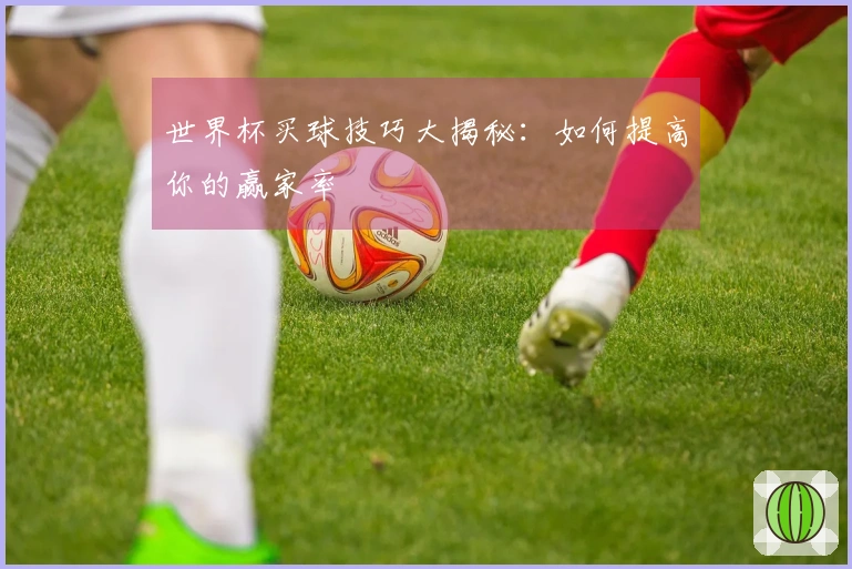 世界杯买球技巧大揭秘：如何提高你的赢家率