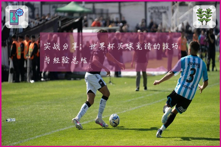 实战分享：世界杯买球竞猜的技巧与经验总结
