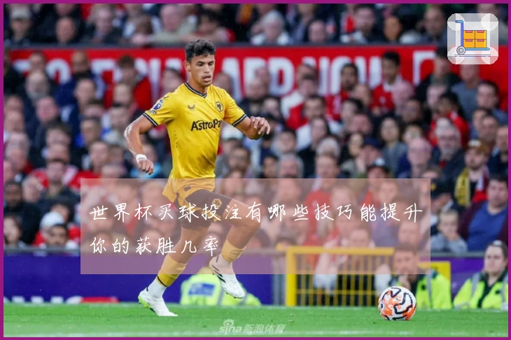 世界杯买球投注有哪些技巧能提升你的获胜几率