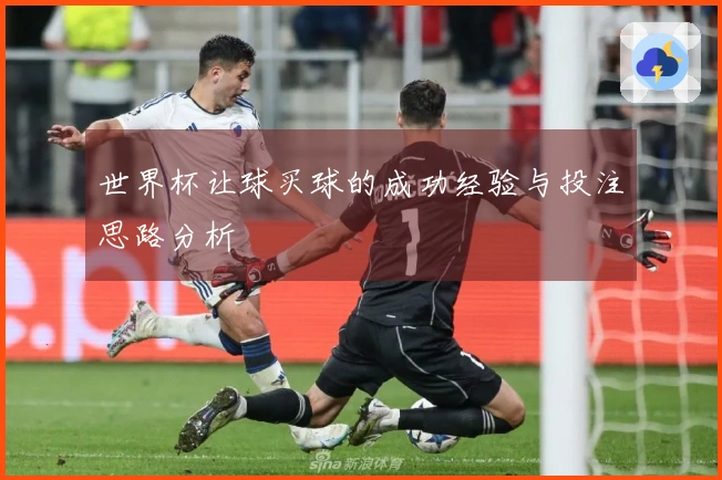 世界杯让球买球的成功经验与投注思路分析