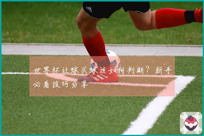世界杯让球买球该如何判断？新手必看技巧分享