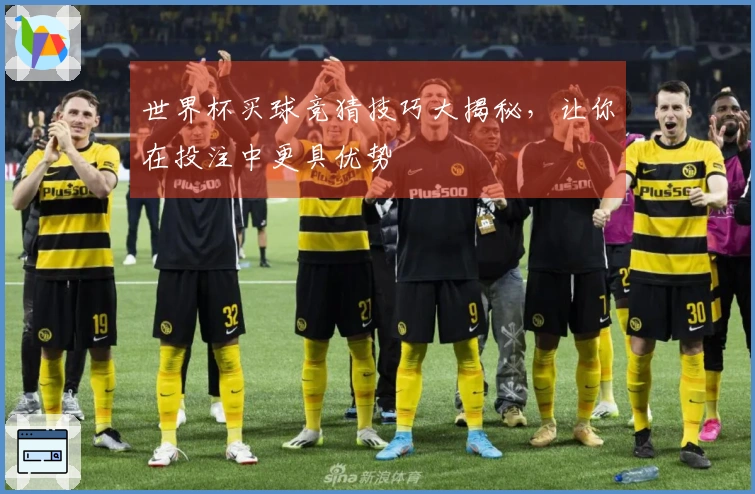 世界杯买球竞猜技巧大揭秘，让你在投注中更具优势