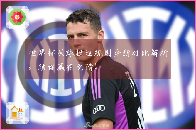 世界杯买球投注规则全新对比解析，助你赢在竞猜！